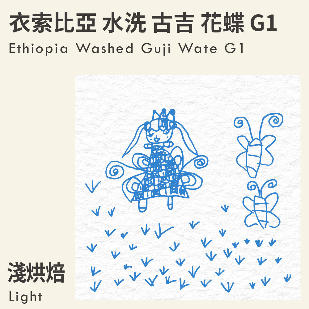 衣索比亞 水洗 古吉 花蝶 G1