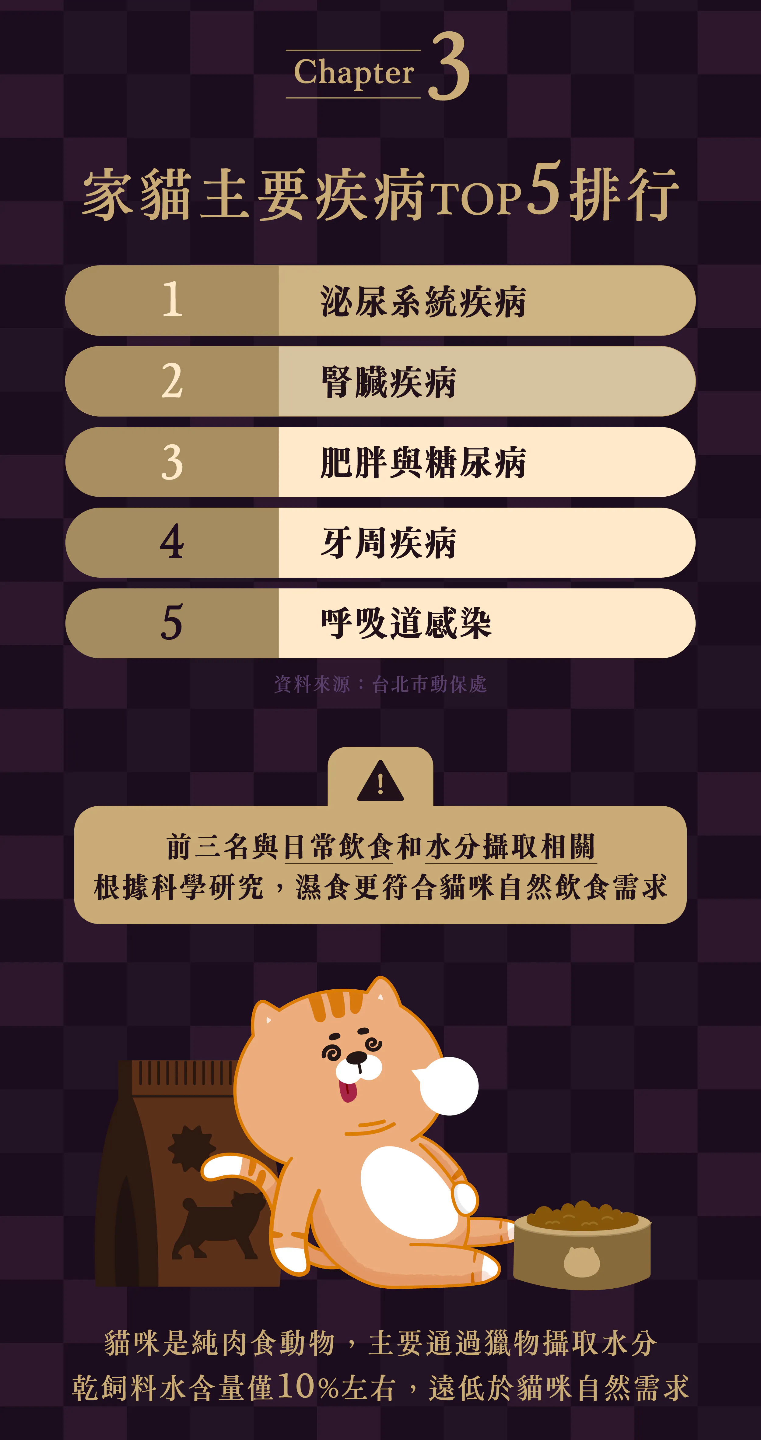 Abao阿寶 魔鏡膠原主食餐包