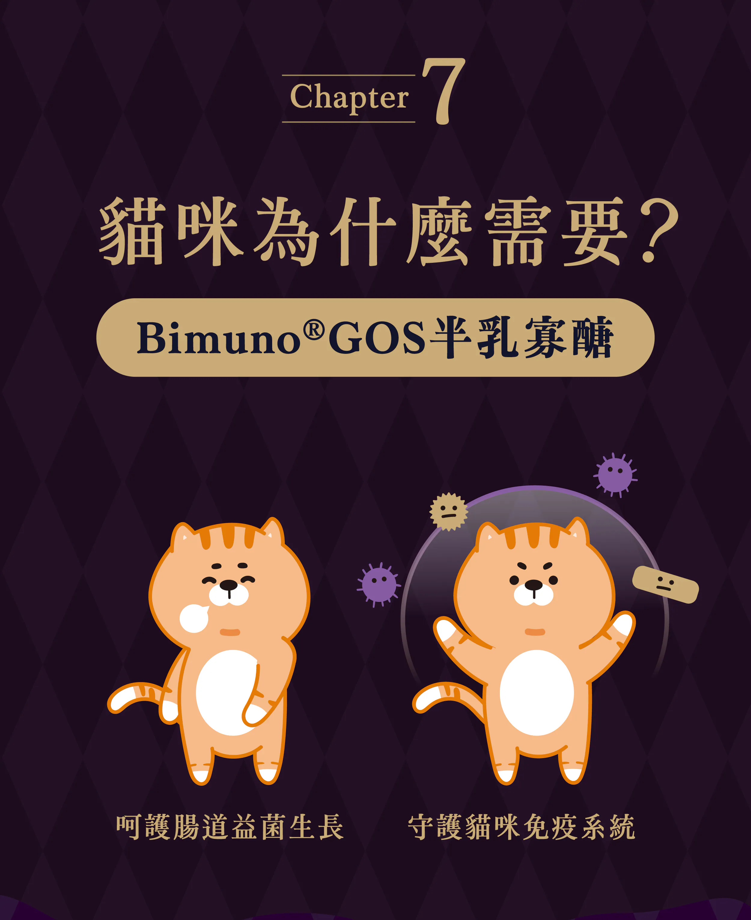 Abao阿寶 魔鏡膠原主食餐包