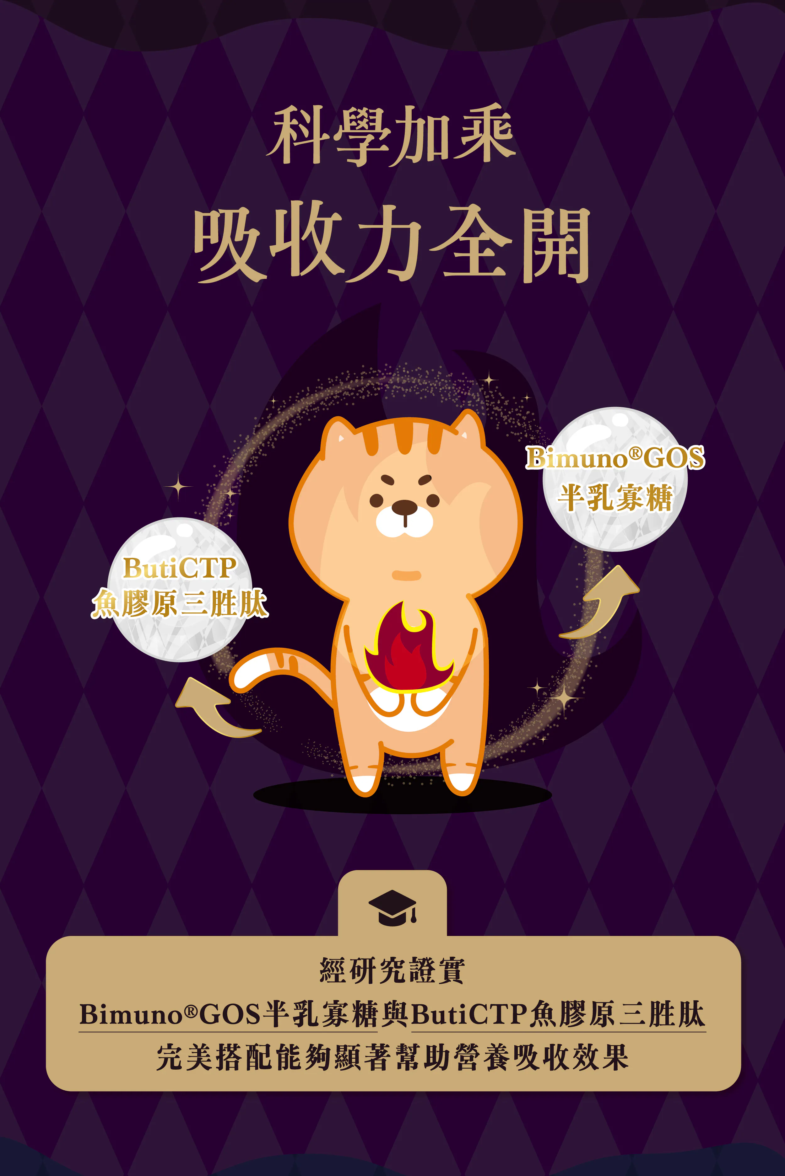 Abao阿寶 魔鏡膠原主食餐包