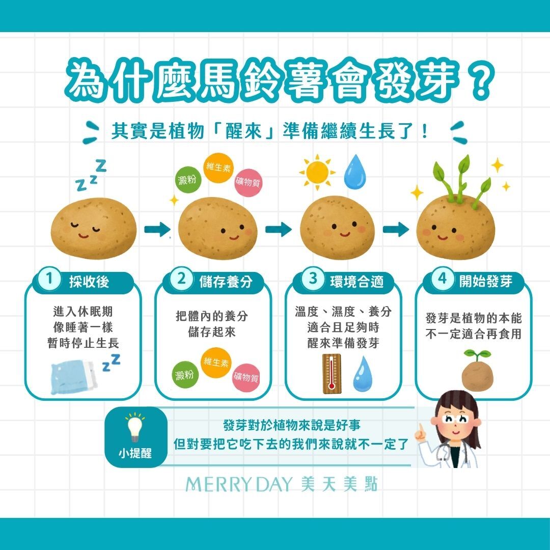 為什麼馬鈴薯會發芽？