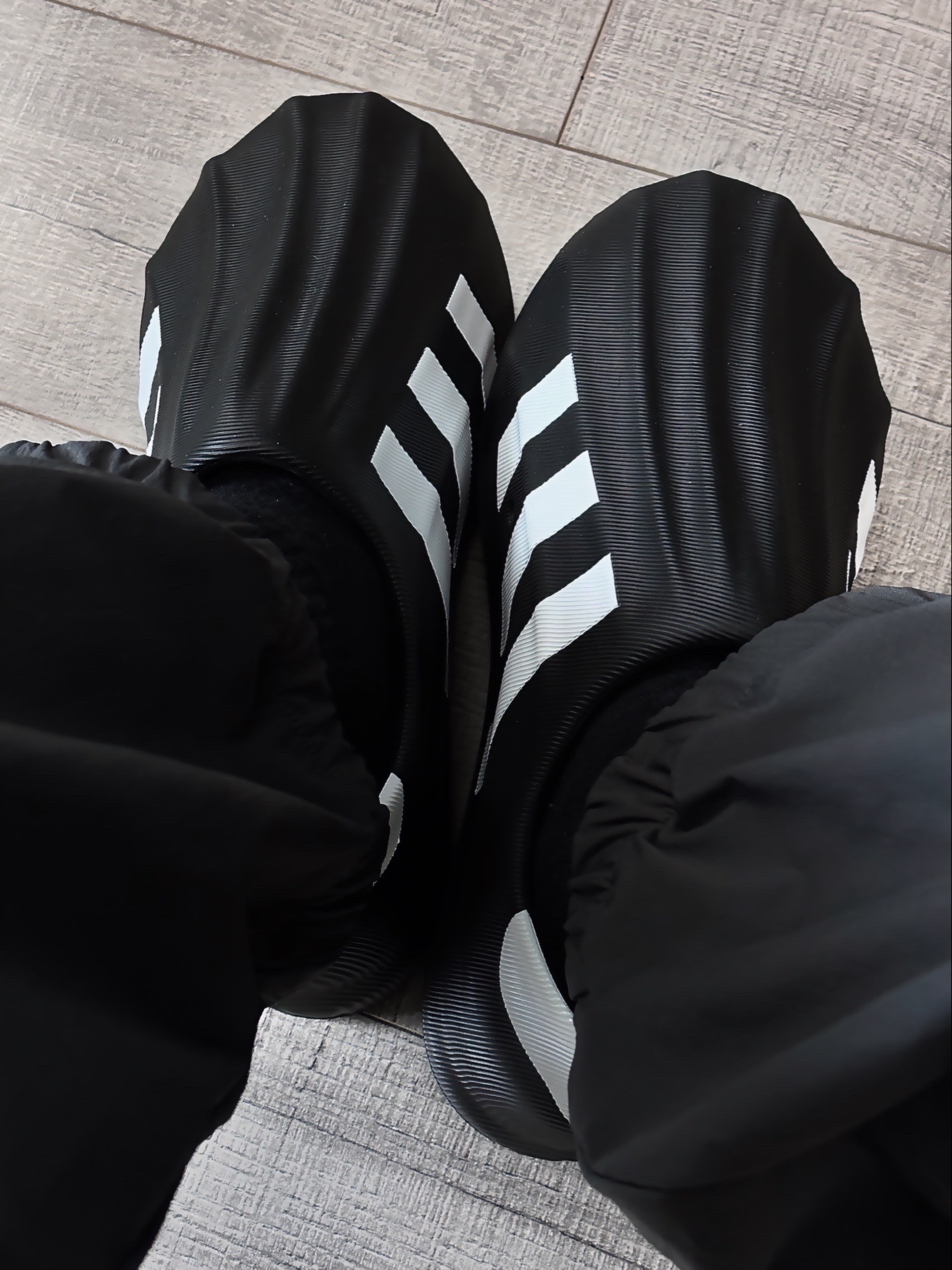 【預購】Adidas 防水 adiFOM Superstar 貝殼頭 三線 厚底增高 膠鞋 懶人鞋 HQ8752
