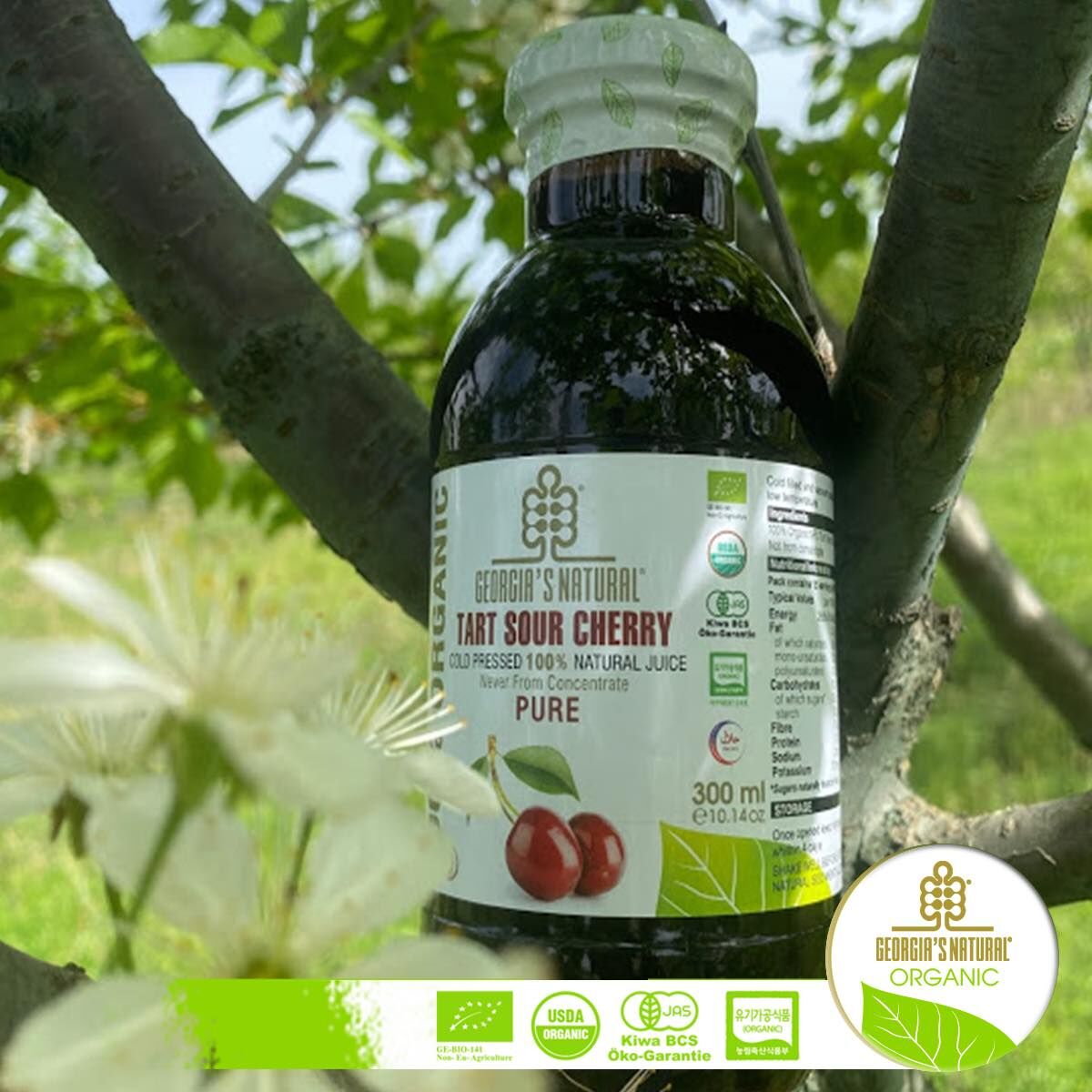 酸櫻桃汁
