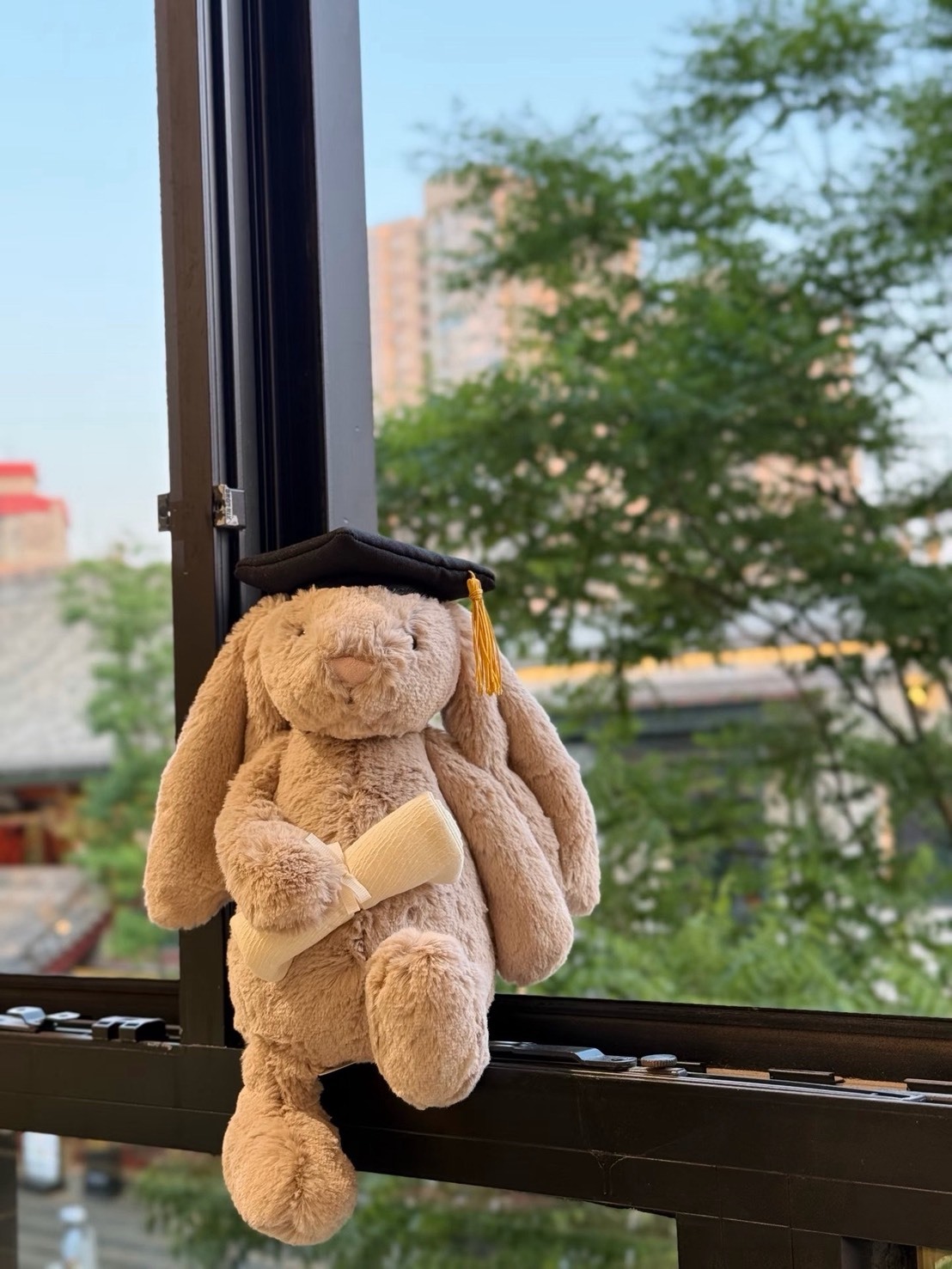 〈畢業季必備🎓〉 Jellycat 畢業兔