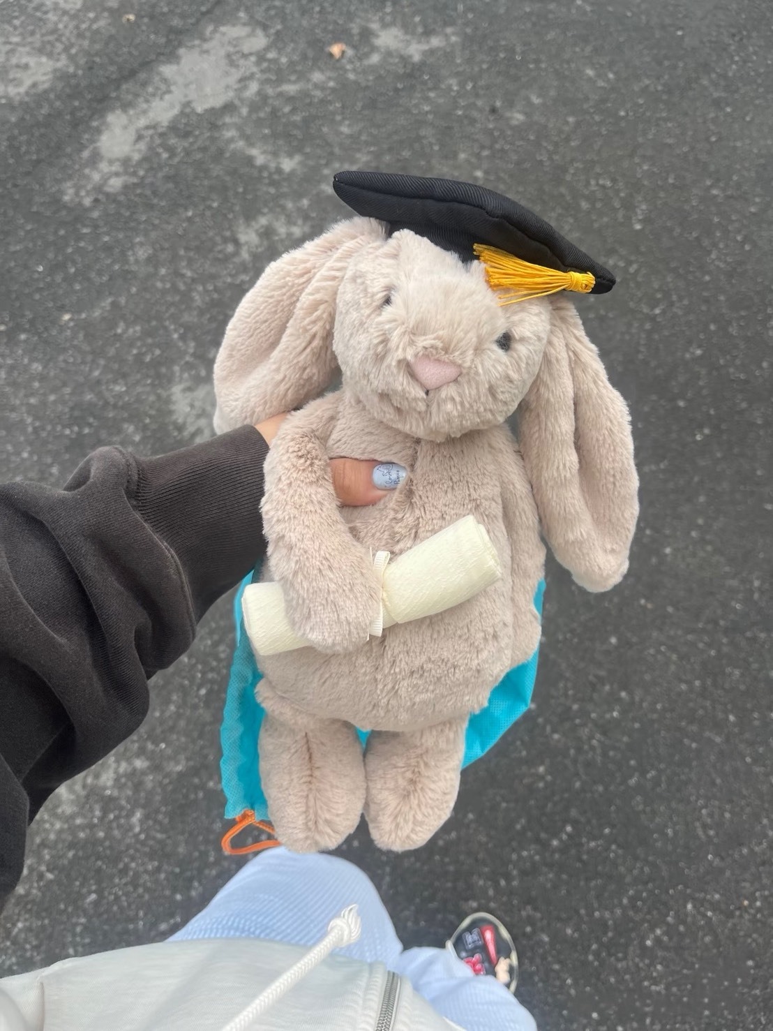 〈畢業季必備🎓〉 Jellycat 畢業兔