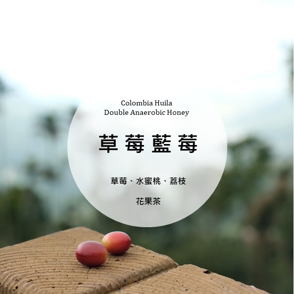 Colombia Huila  Double Anaerobic Honey
