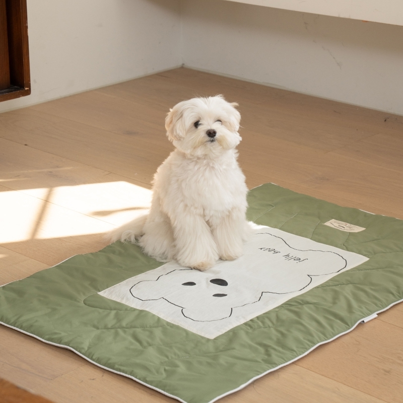 puppygallery｜果凍熊涼感棉被 午睡涼感毯