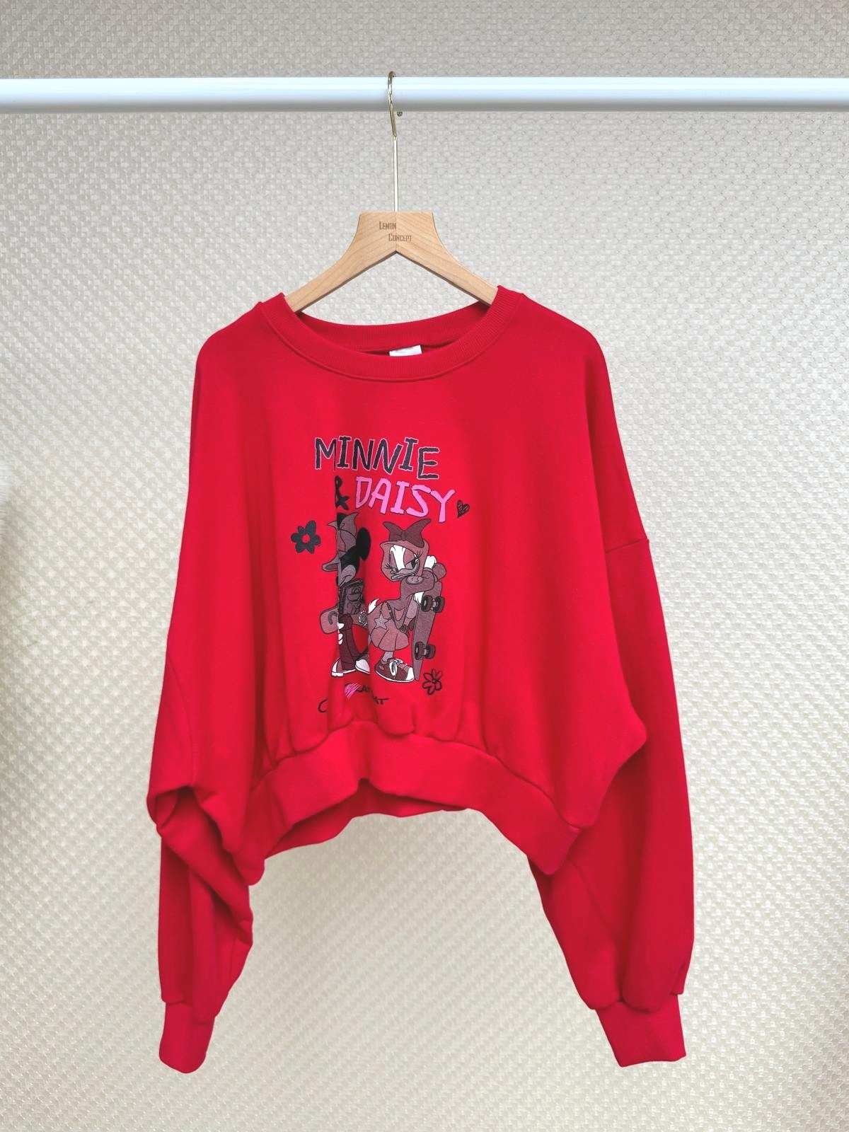 (現貨)韓國Minnie&Daisy衛衣-3色 #SP1904