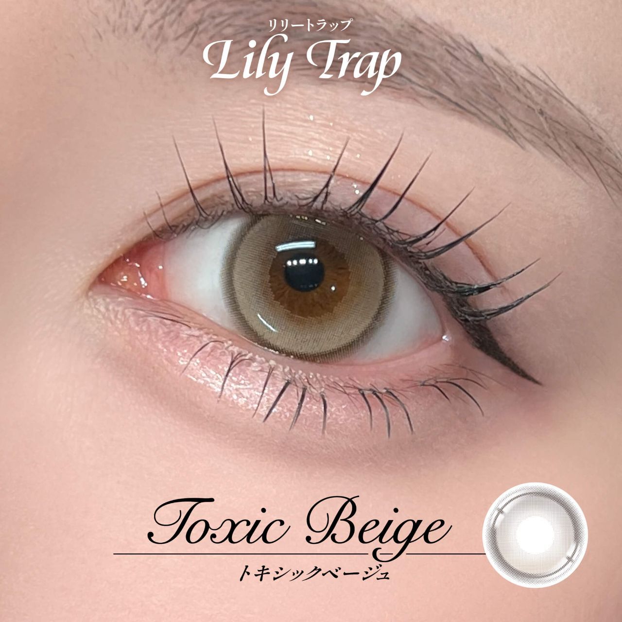 [日拋] Lily Trap 1 Day Toxic Beige 日抛隱形眼鏡｜每盒10片