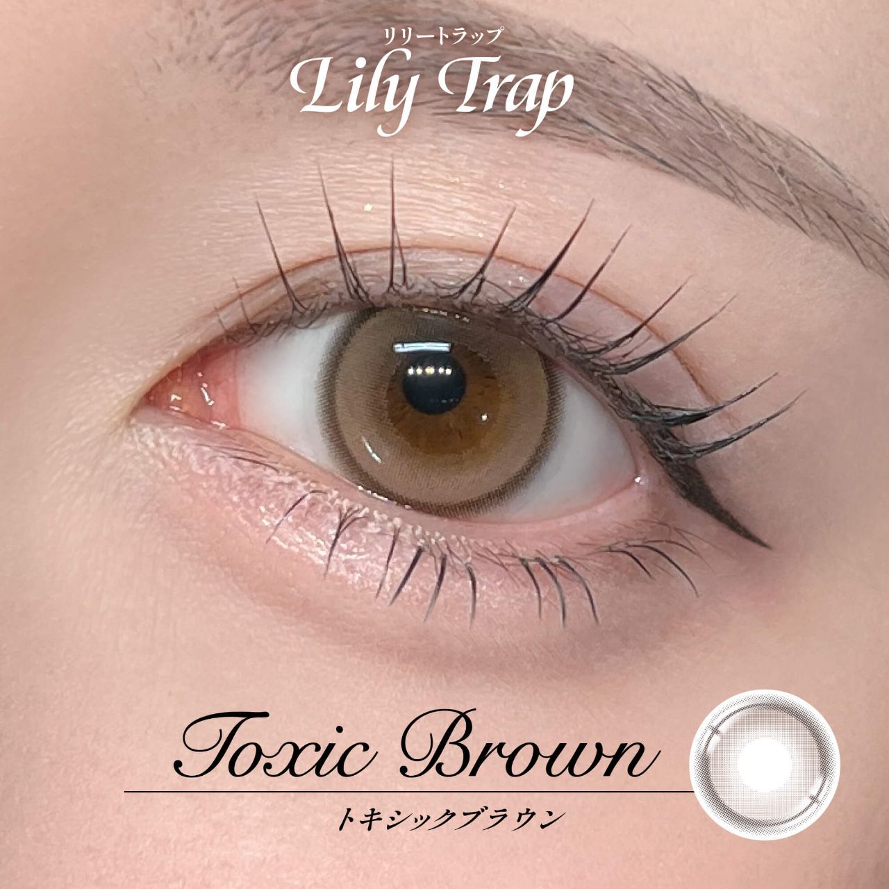 [日拋] Lily Trap 1 Day Toxic Brown 日抛隱形眼鏡｜每盒10片
