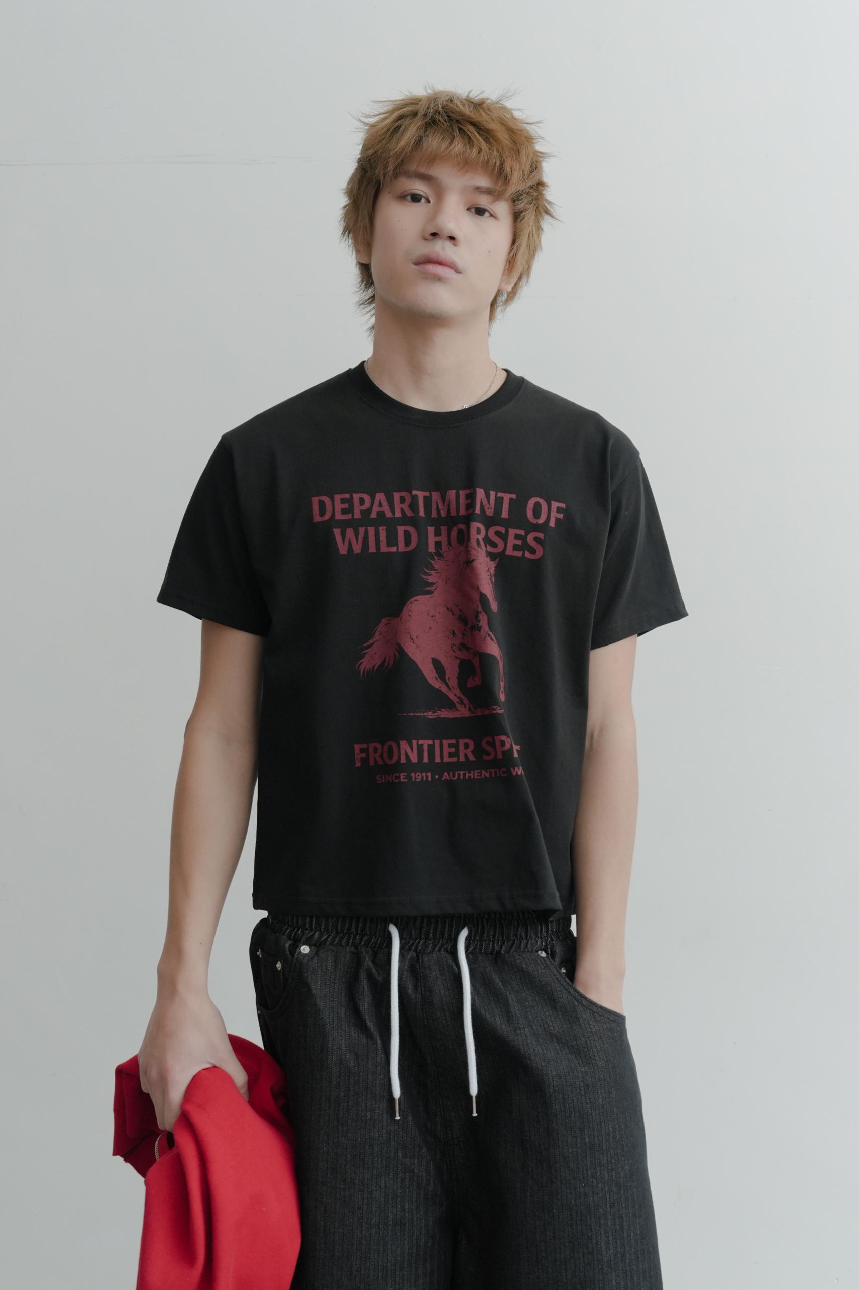 horse cropped short sleeve tee #上衣