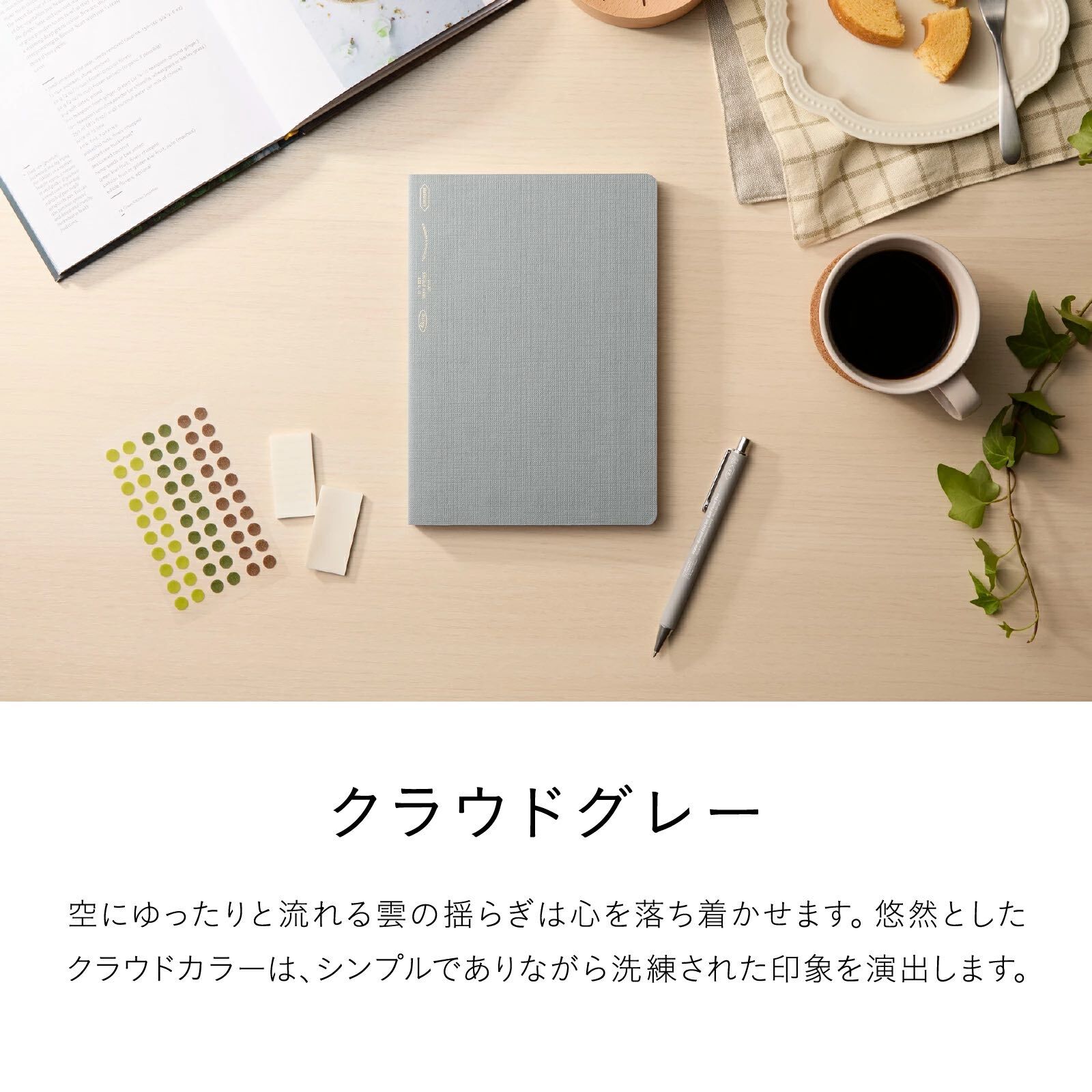 限定色 1/2year 方格筆記本 A5 A6 B6半年誌｜日本 STALOGY