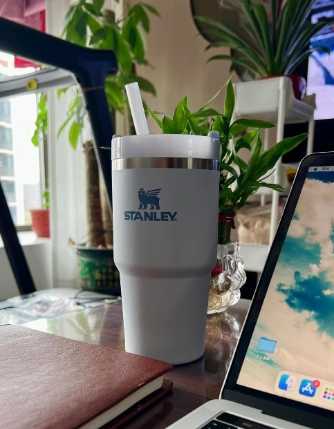 【預購】STANLEY 20oz Quencher Flowstate H050702 保溫杯 （Glacier）
