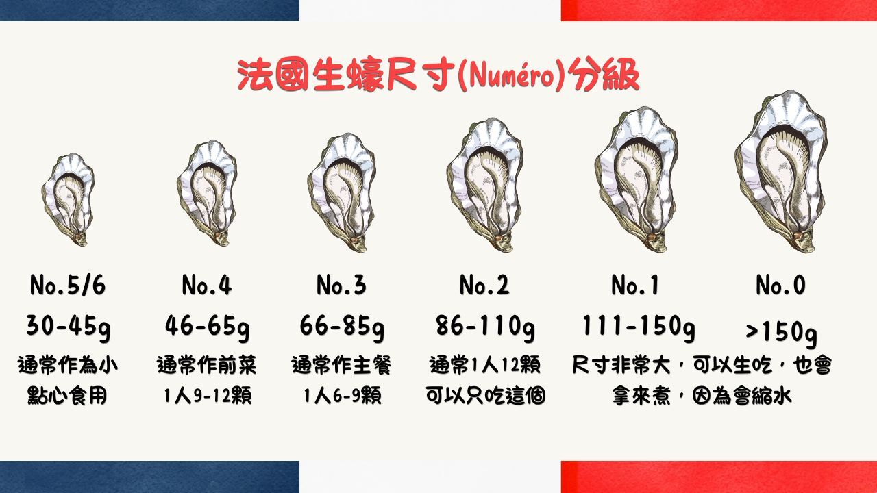 法國生蠔｜巴黎生蠔｜ 法國生蠔Gillardeau ｜生蠔界勞斯萊斯｜法國生蠔品種｜生蠔怎麼吃｜巴黎生蠔餐廳｜巴黎海鮮餐廳｜法國巴黎｜巴黎自助05