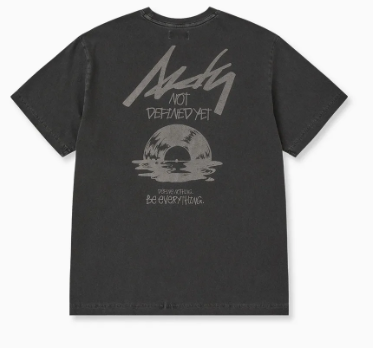 EF16-17 Nerdy Vinyl Record Pigment S/S T-Shirt