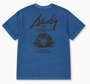 EF16-17 Nerdy Vinyl Record Pigment S/S T-Shirt