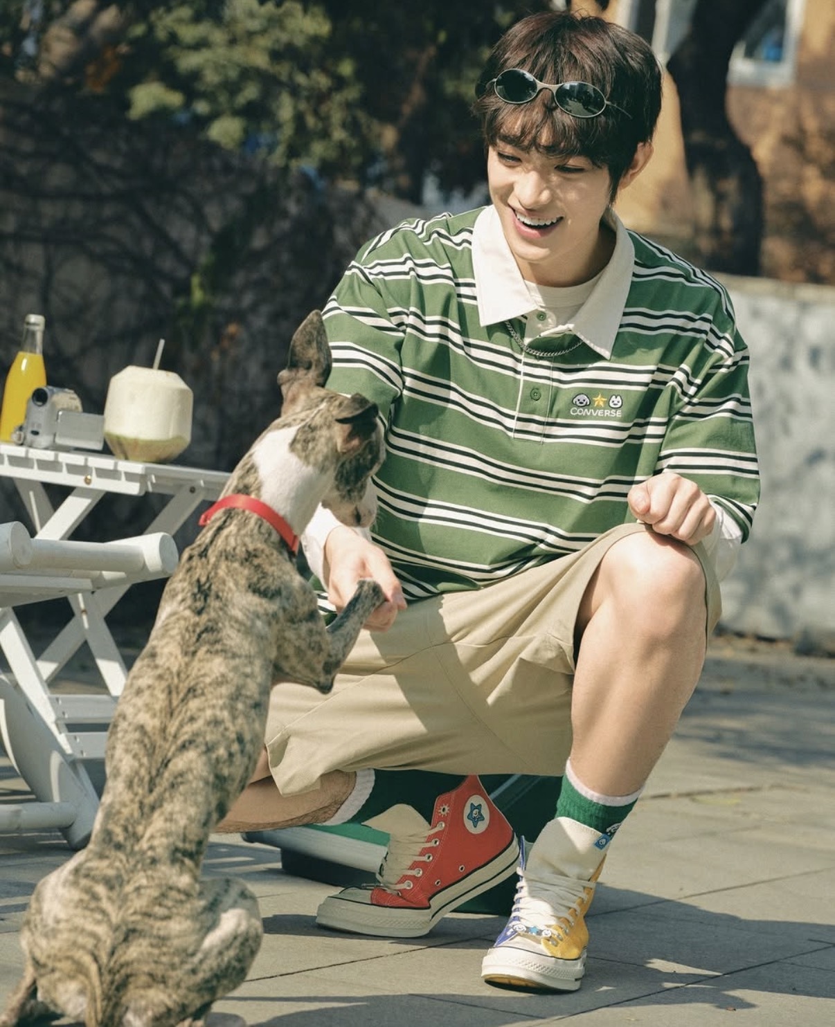 聯名款 CONVERSE X MATSUI SS POLO 綠色 松井龍哉 插畫 小狗 條紋 POLO衫 短T【UCK178-E49】CONMATSUI