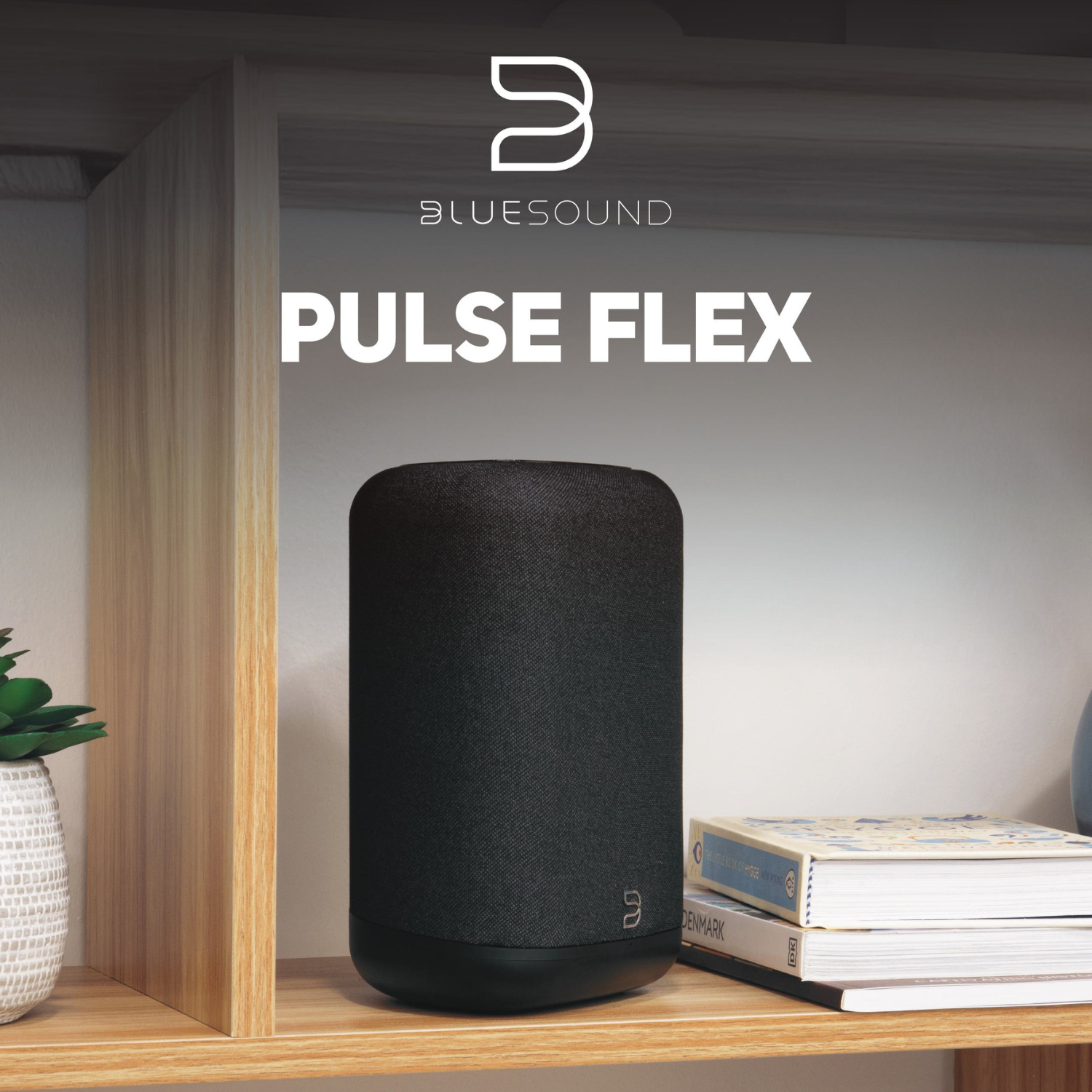Bluesound PULSE FLEX Wireless All-In-One Music Streaming Speaker