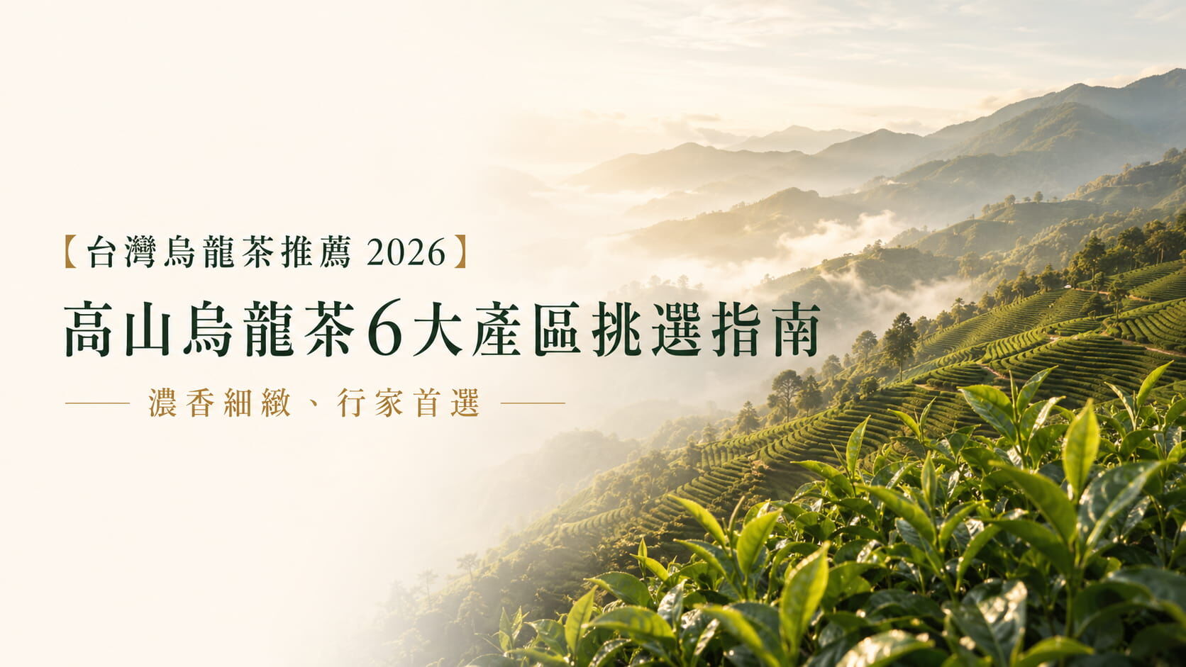台灣烏龍茶推薦