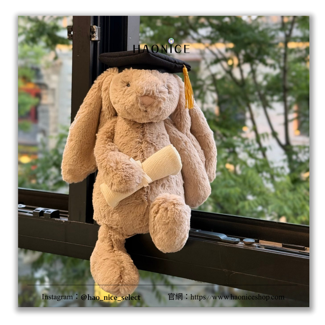 【HAO NICE】給他滿滿的畢業祝福🎓Jellycat bunny🇬🇧 邦尼兔 兔兔玩偶 毛絨玩偶 公仔 畢業禮物