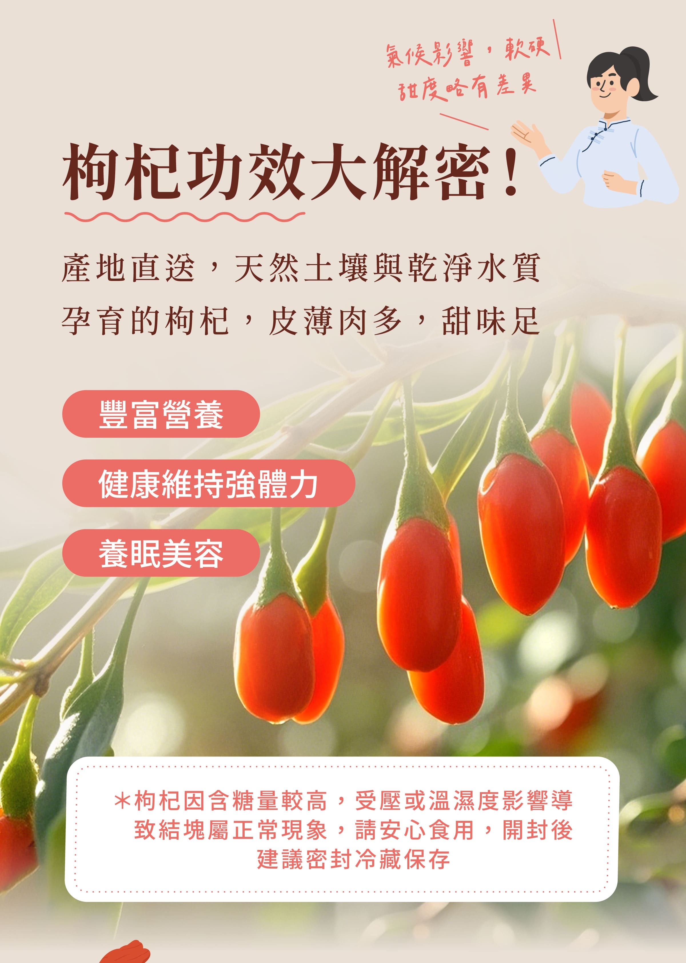 登義枸杞子原料