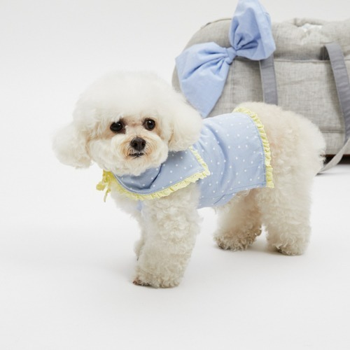 Louisdog 清爽檸檬蕾絲套組