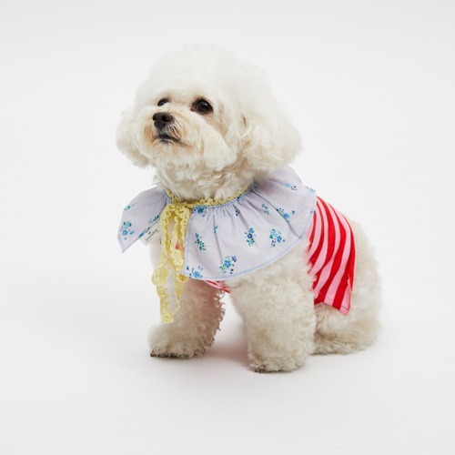 Louisdog 英式浪漫古典斗篷