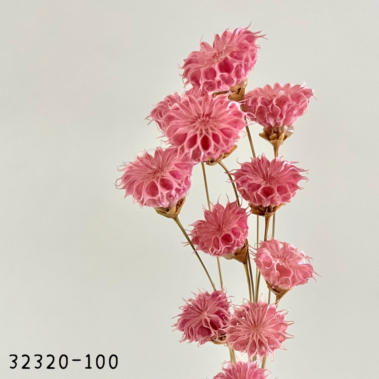日本手工酒盅花32320-100