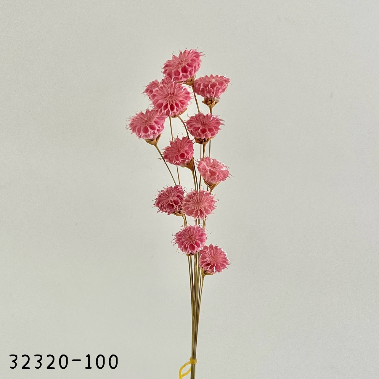 日本手工酒盅花32320-100