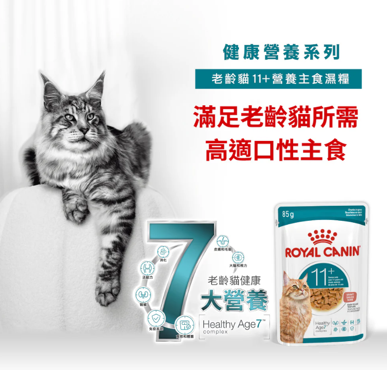 Royal Canin 法國皇家 - 老齡貓11+ 主食濕糧 (1盒12包)
