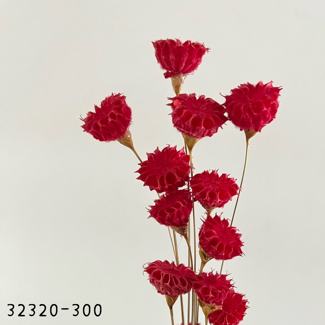 日本手工酒盅花32320-300