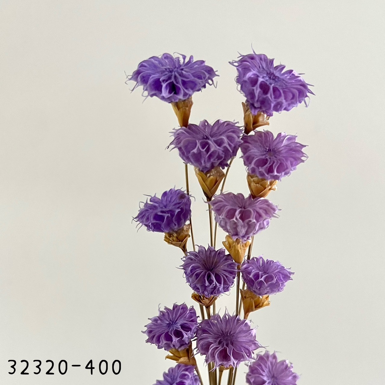 日本手工酒盅花32320-400