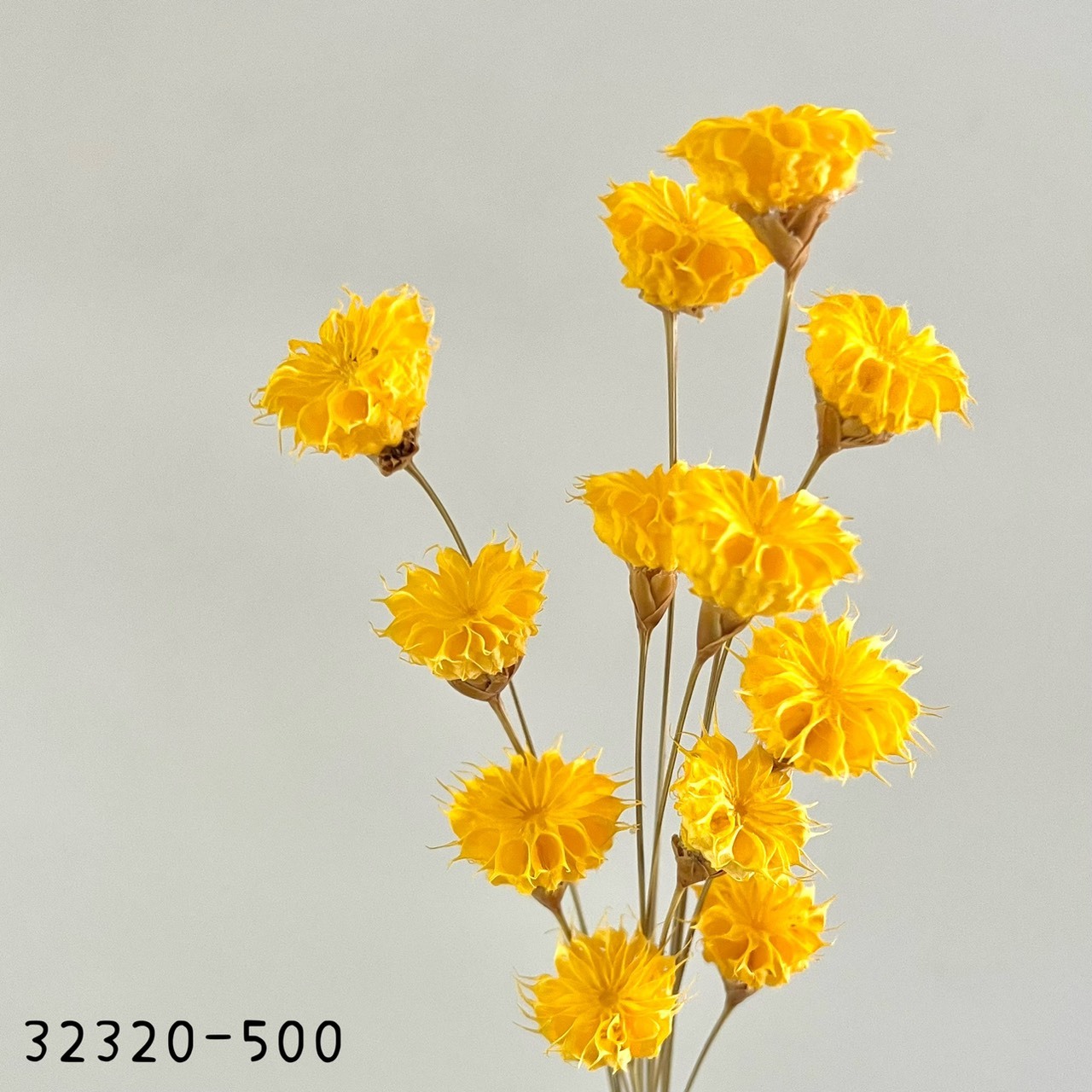 日本手工酒盅花32320-500