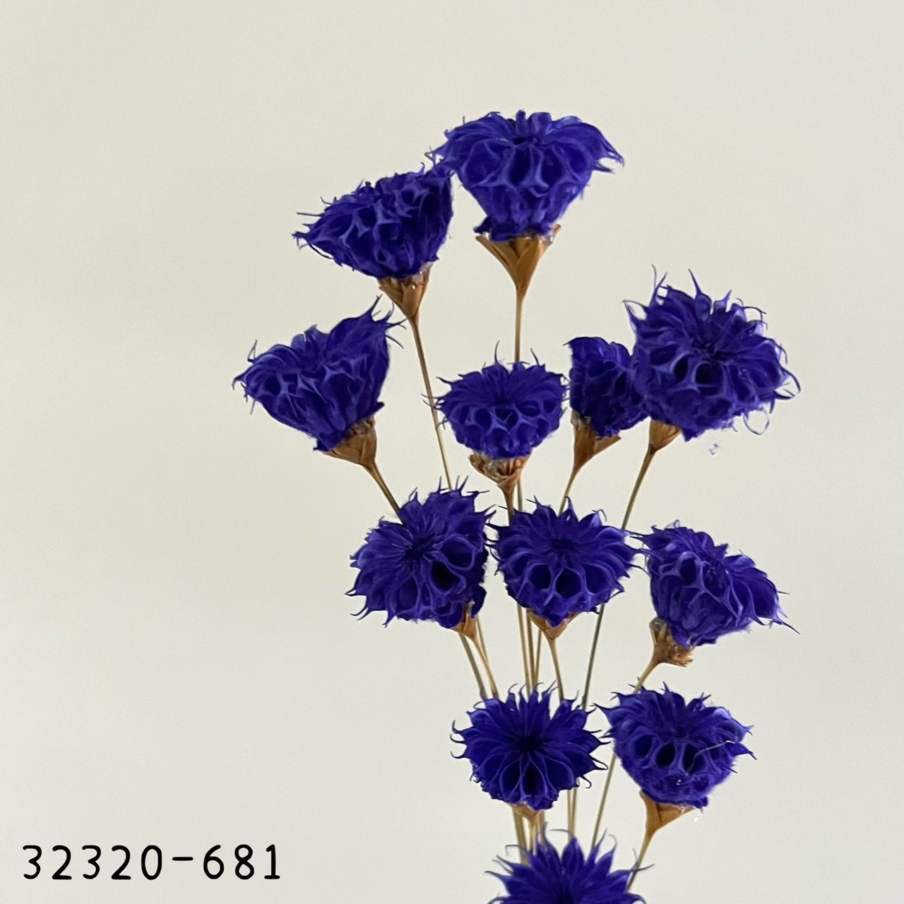 日本手工酒盅花32320-681