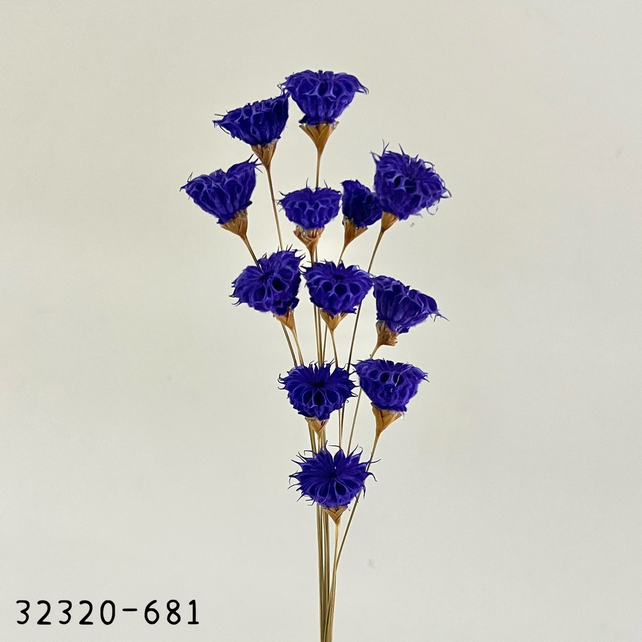 日本手工酒盅花32320-681