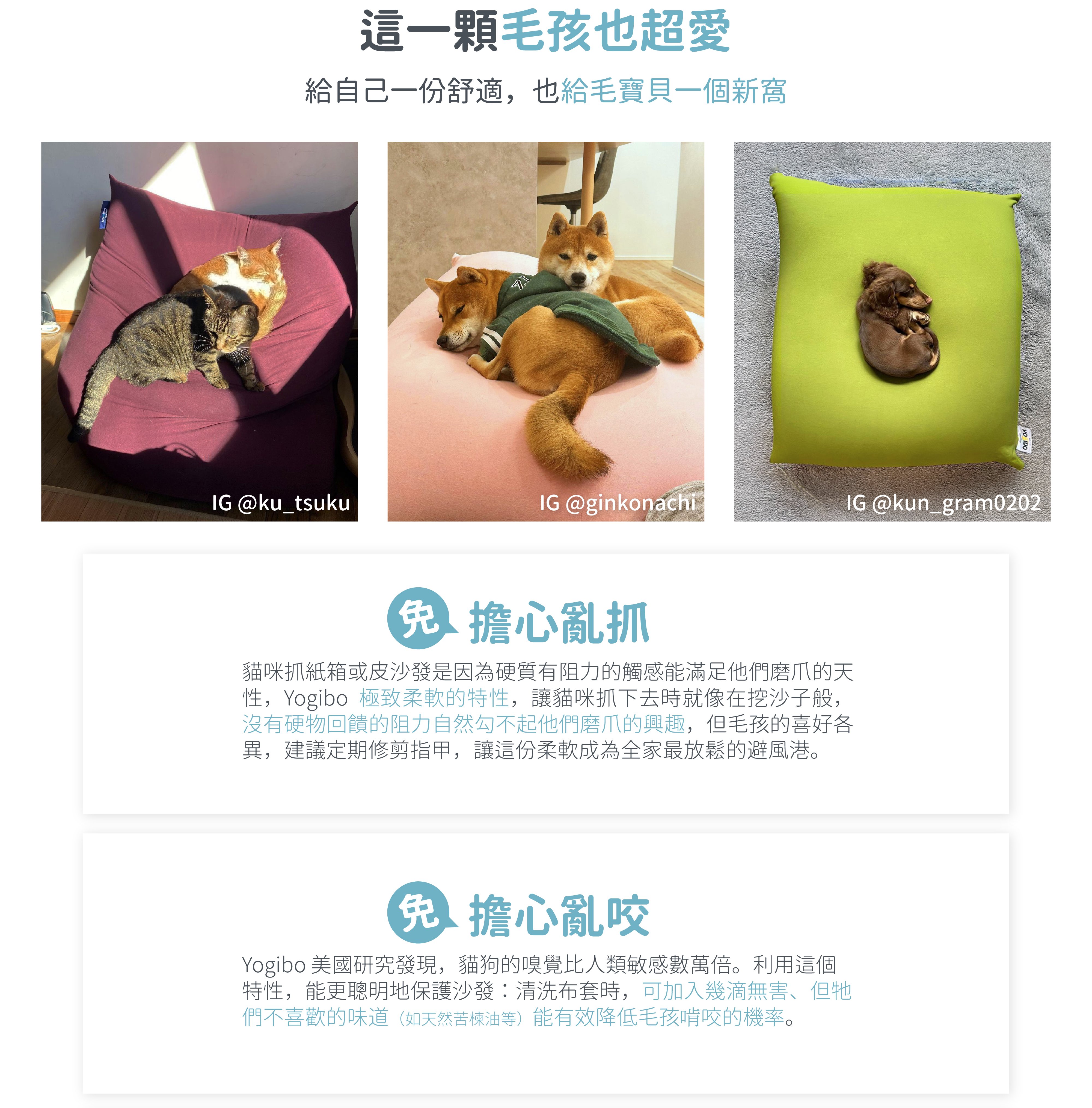 這顆寵物也超愛