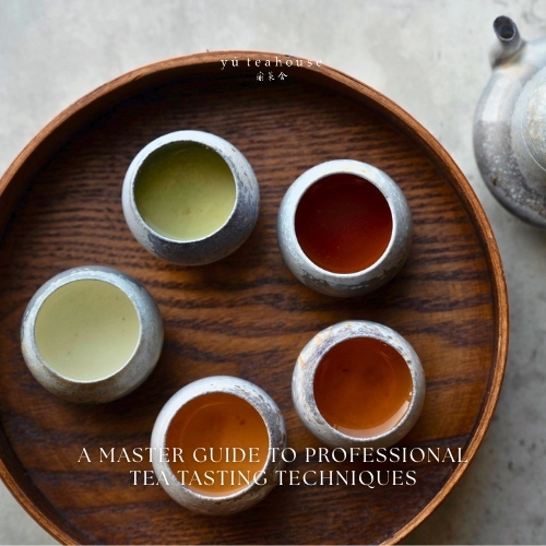 The Art of Tea: A Master Guide to Professional Tea Tasting Techniques | Yú Teahouse