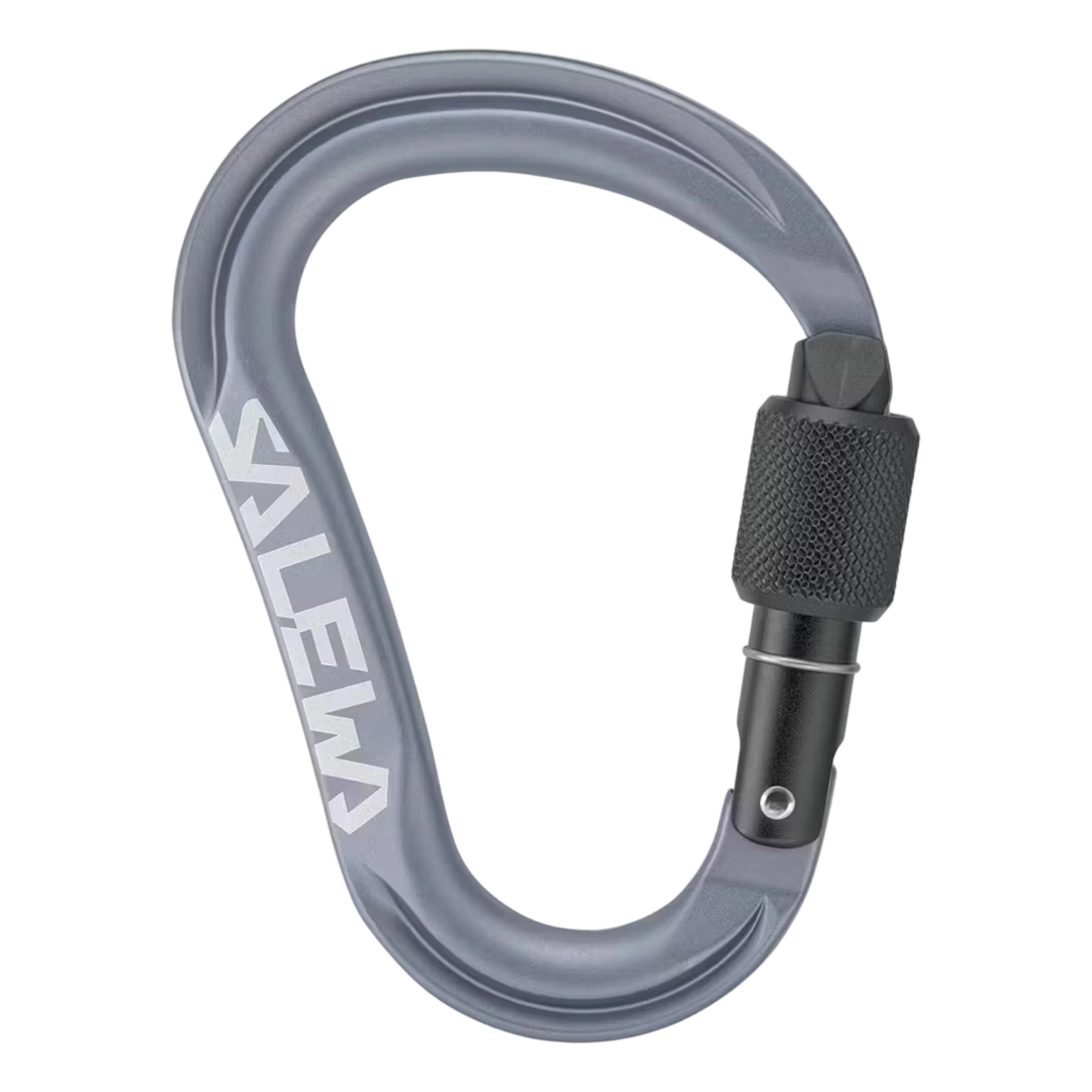 SALEWA 沙樂華 ORTLES HMS M CARABINER 鉤環 (2色) 79SLW72002