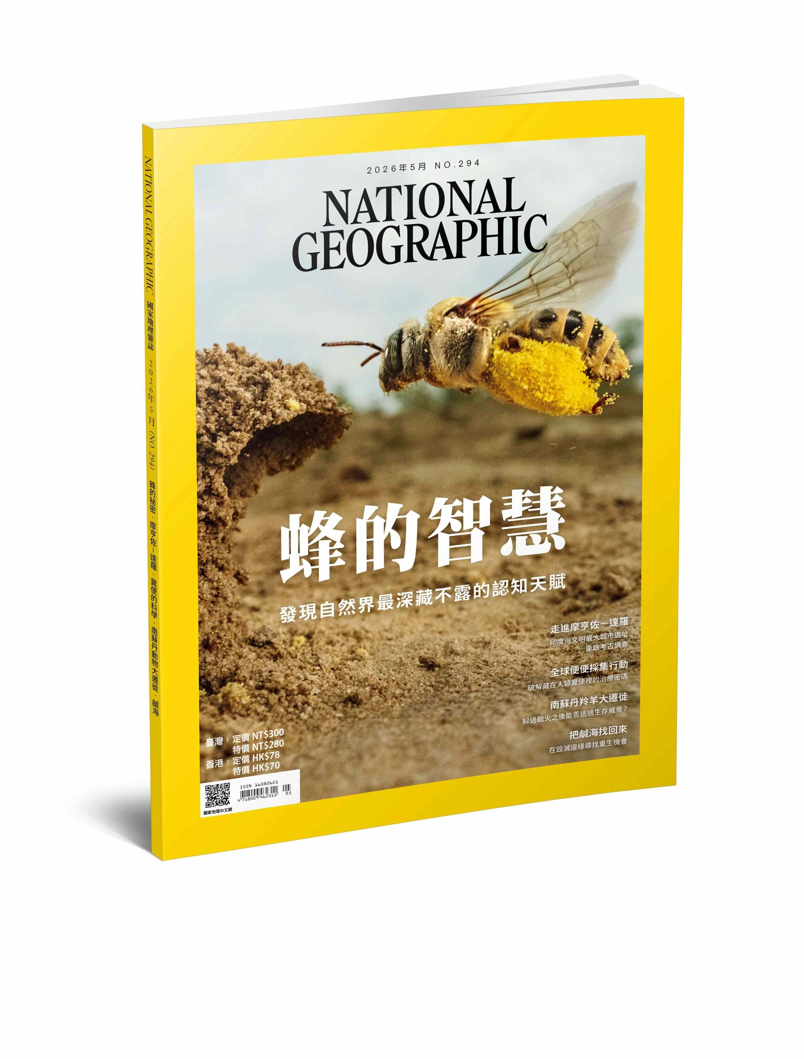 國家地理雜誌_雜誌294期2026年5月號-蜂的智慧