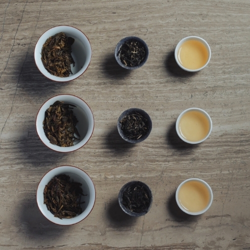 Stage 2: The Symphony of Aroma | Yú Teahouse