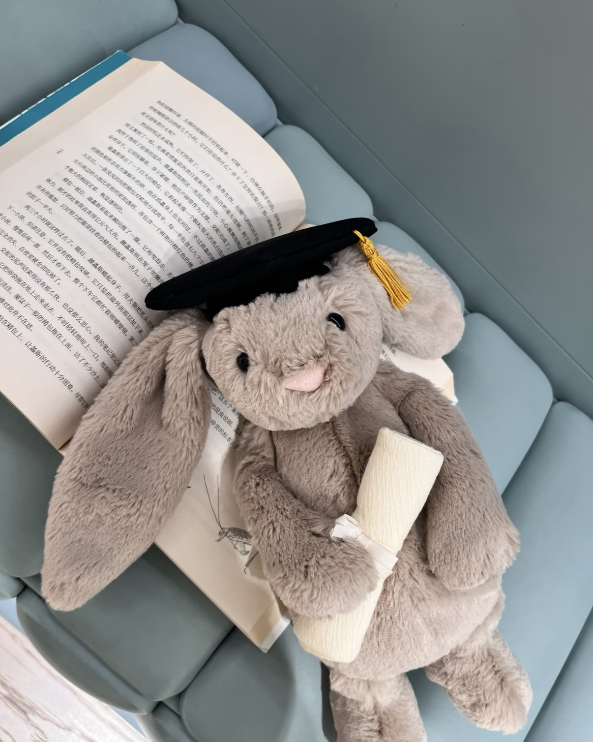 <畢業就送牠🎓>JELLYCAT 畢業邦尼兔 畢業兔 毛絨娃娃 玩偶