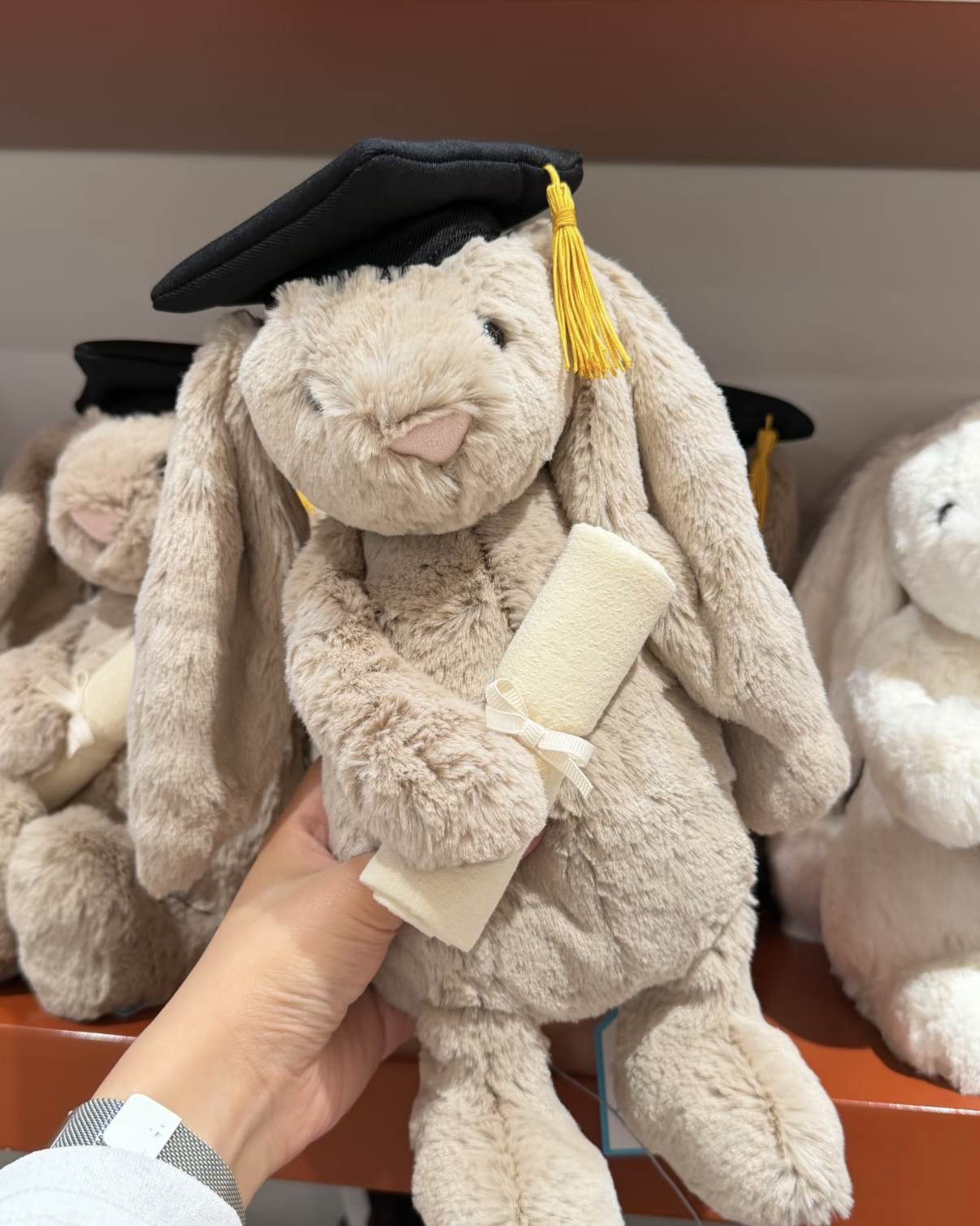 <畢業就送牠🎓>JELLYCAT 畢業邦尼兔 畢業兔 毛絨娃娃 玩偶
