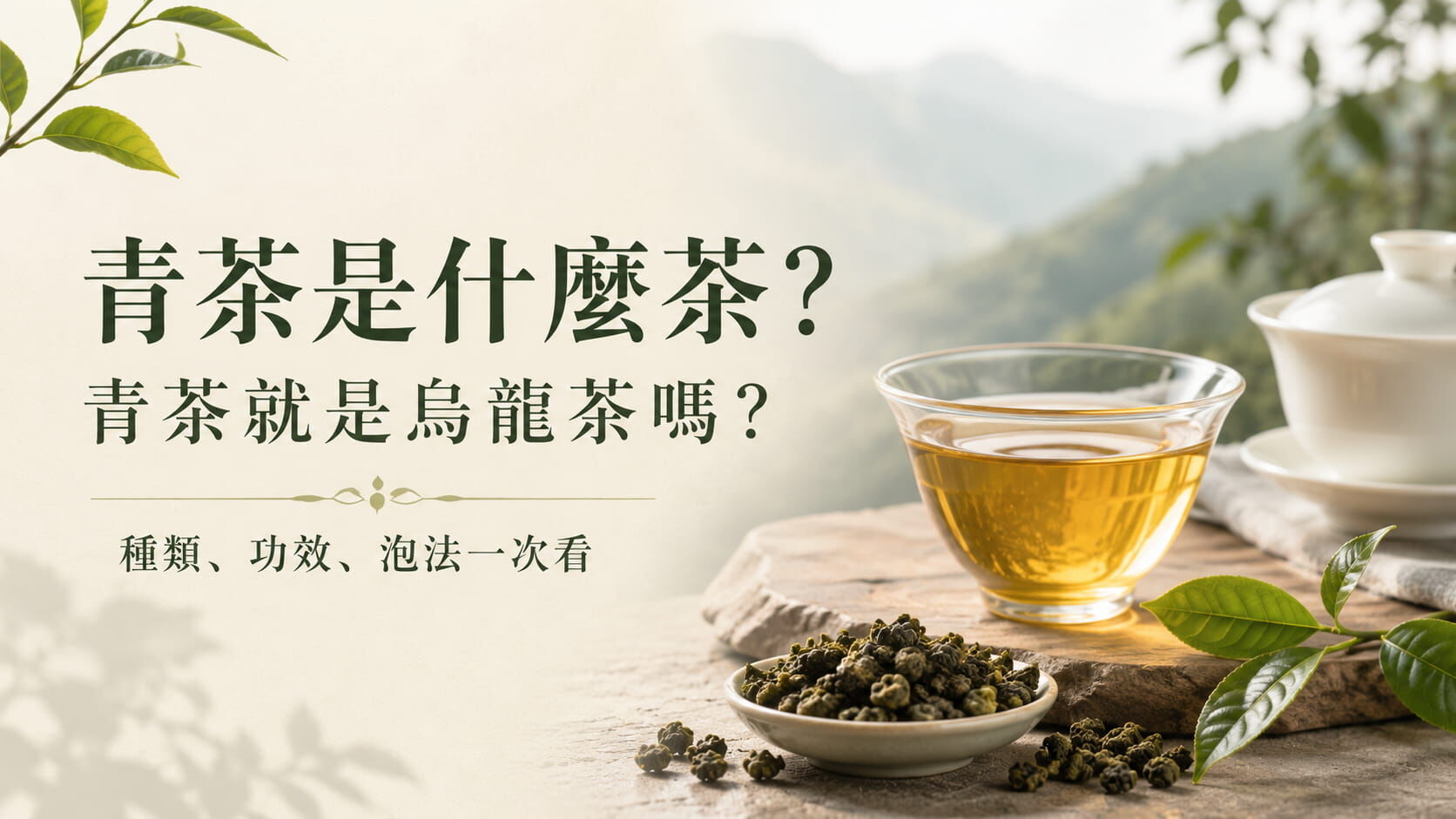 青茶是什麼茶?青茶功效、咖啡因、種類、泡法完整指南