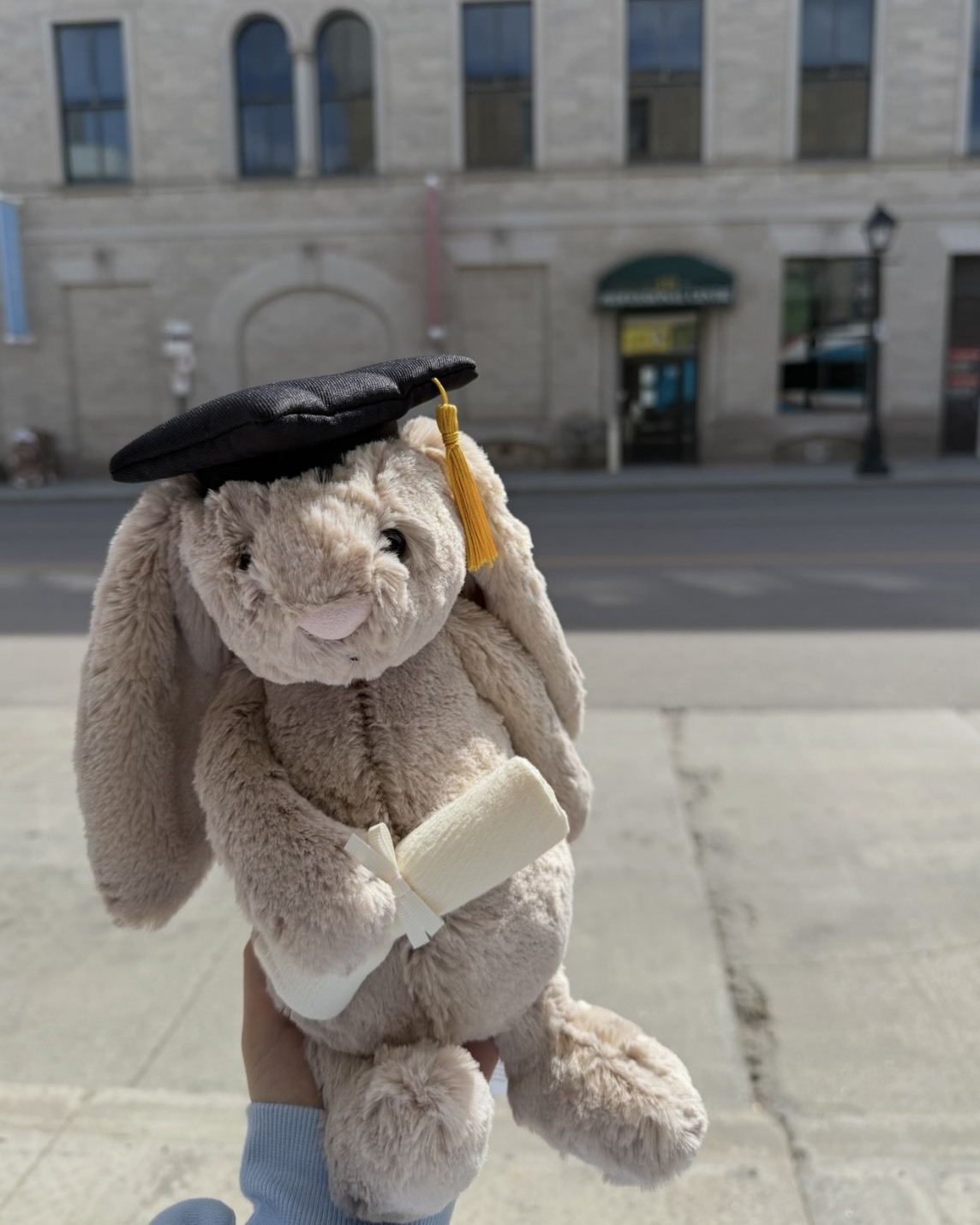 <畢業就送牠🎓>JELLYCAT 畢業兔