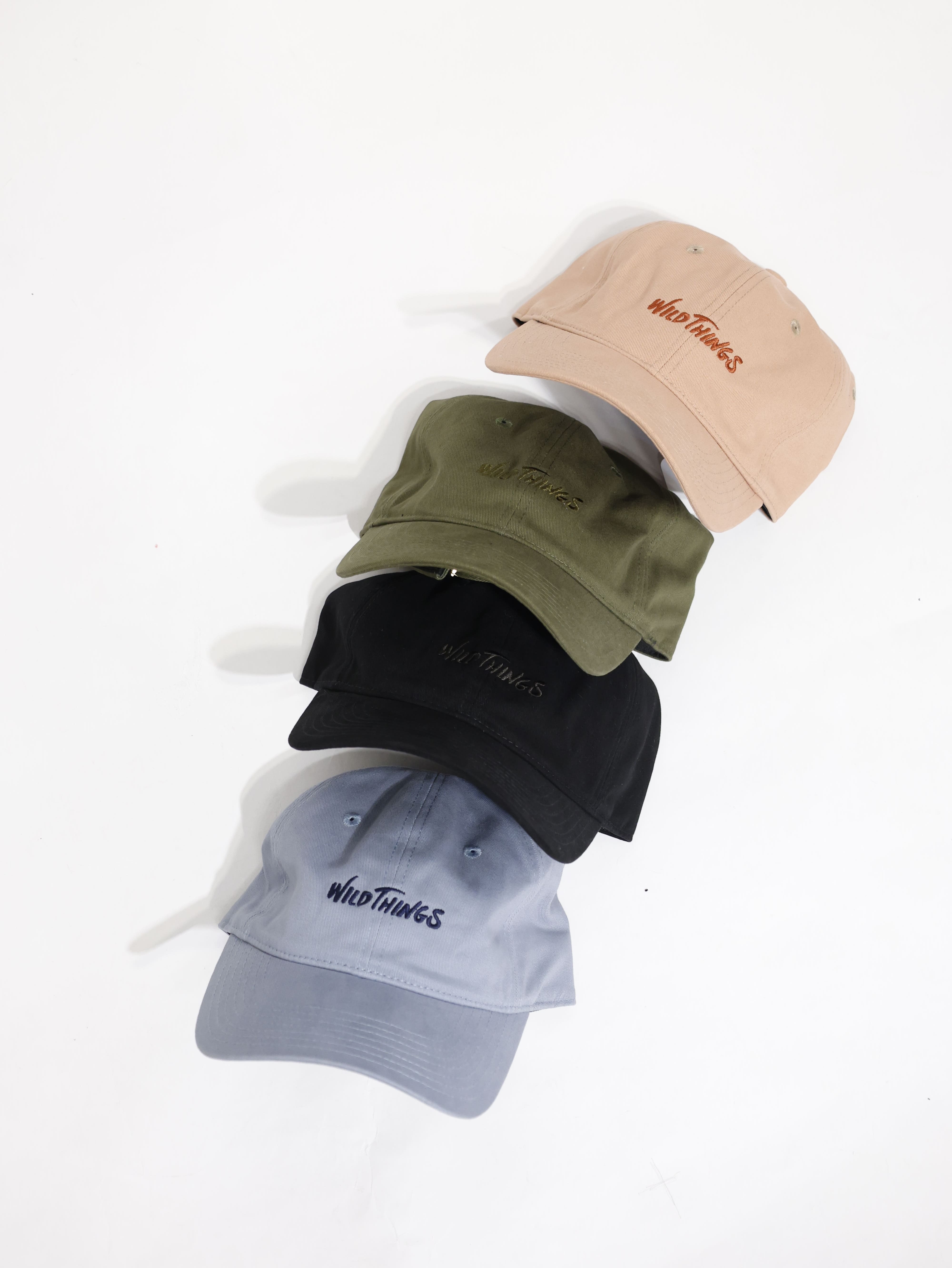 Wild Things LOGO Cap 棒球帽 WT26059SL