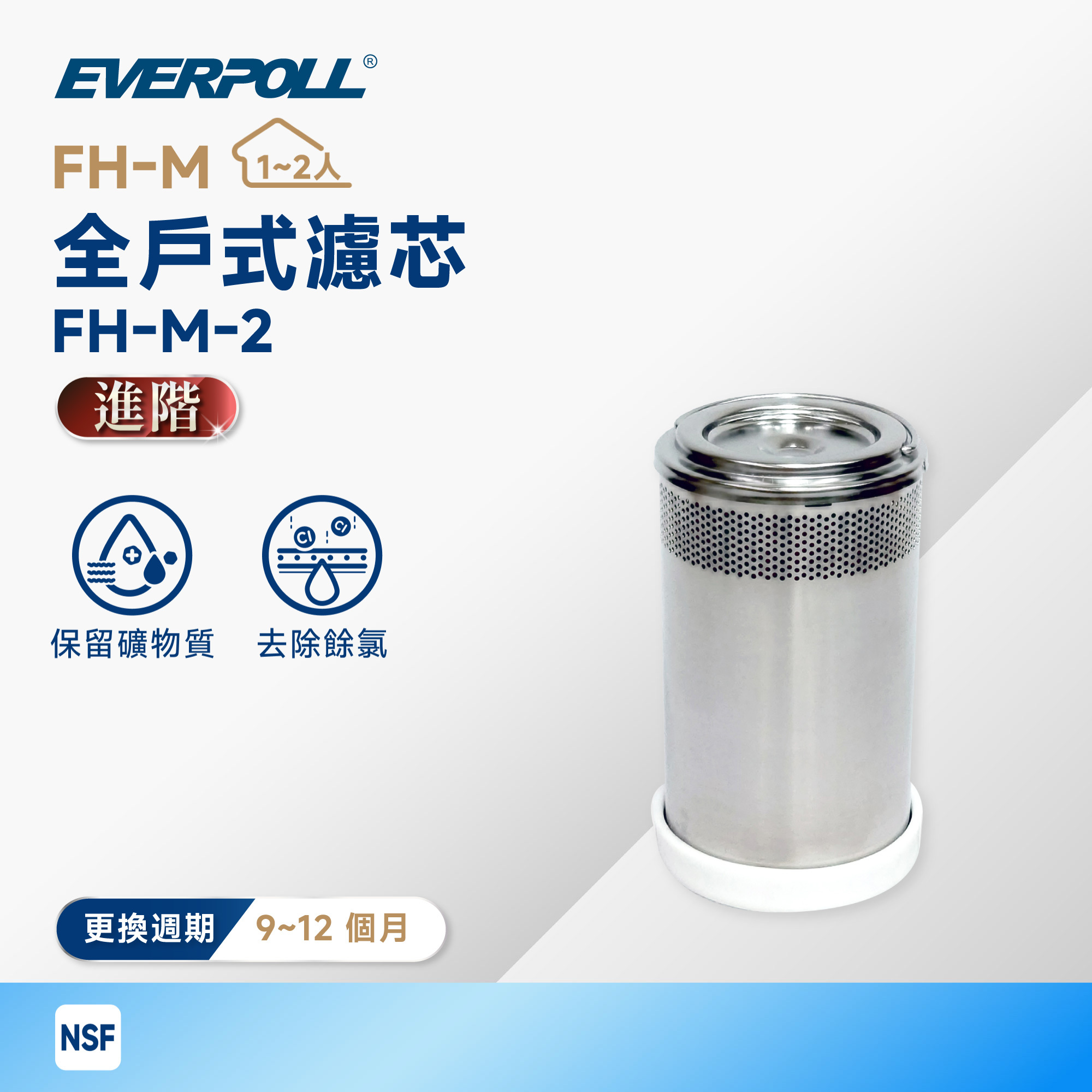 【EVERPOLL 愛科】FH-M 全戶式濾芯 FH-M-2