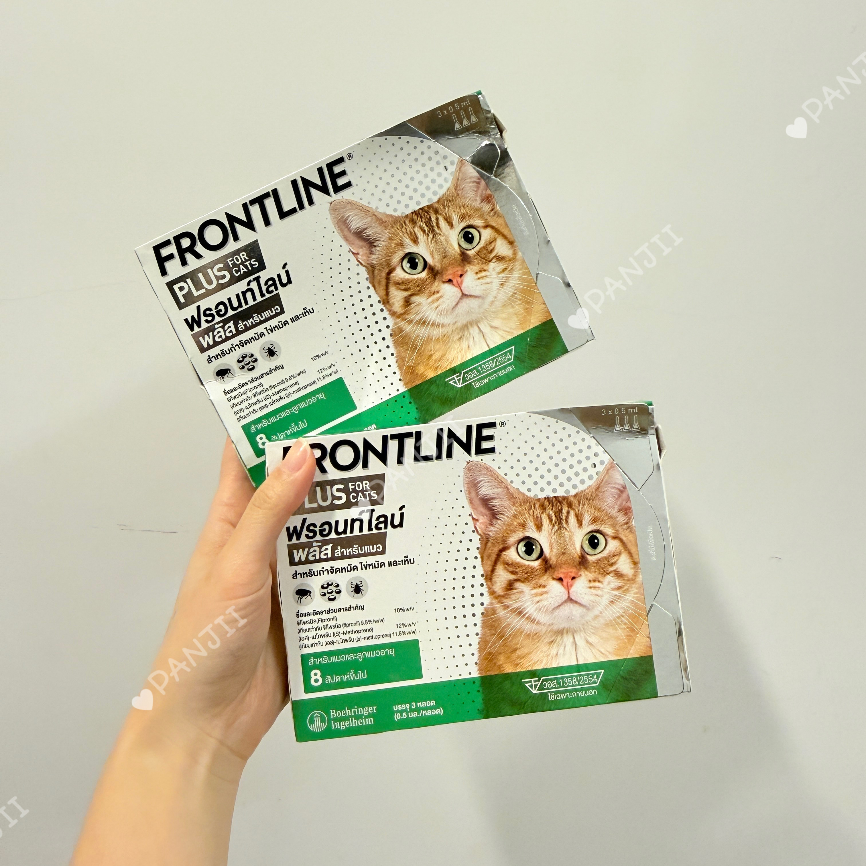 FRONTLINE PLUS CAT貓用殺蚤除牛蜱滴頸滴劑加強版（1盒3支）
