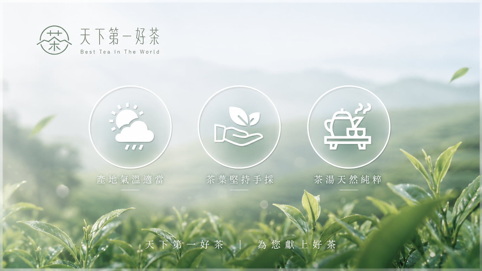 BESTEA 天下第一好茶：台灣高山茶產地直送