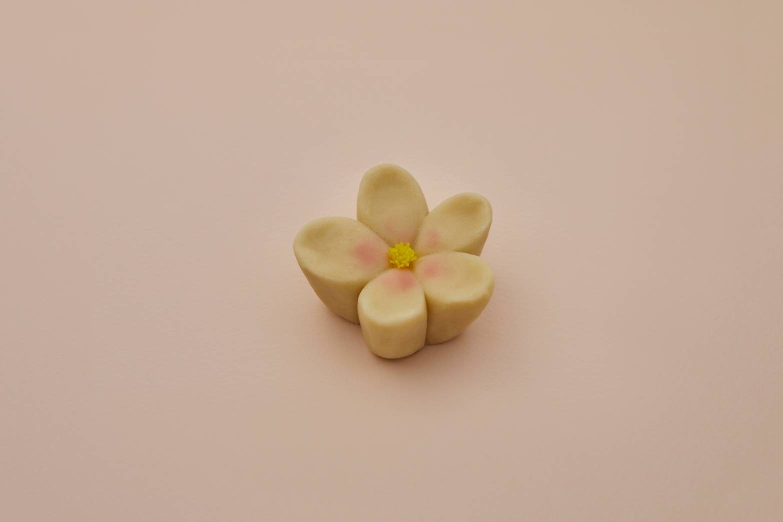 桐花