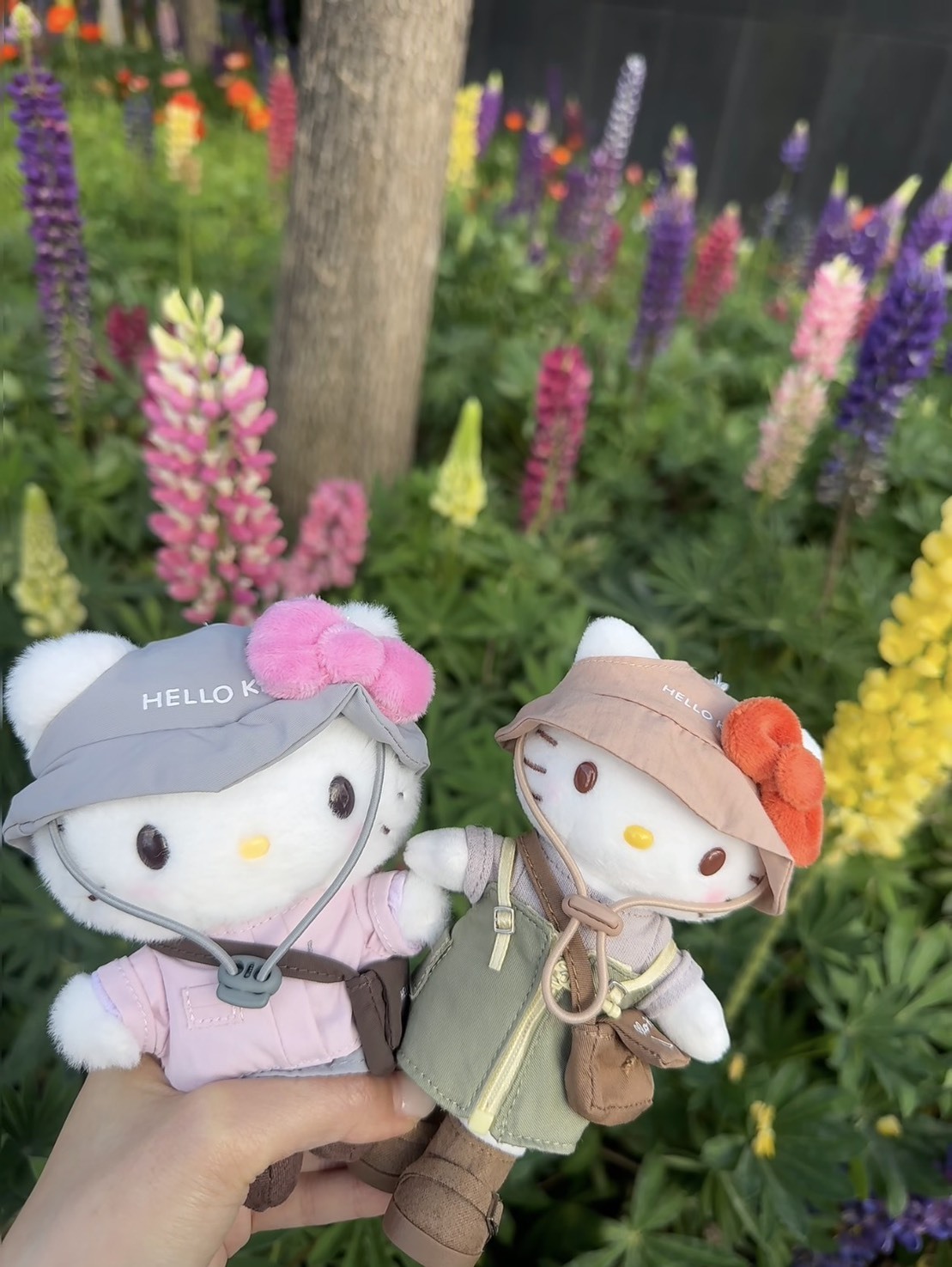 <凱蒂露營派對😍>2026Hello Kitty 春日露營系列 三麗鷗系列